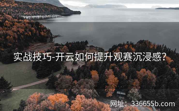 实战技巧-开云如何提升观赛沉浸感？
