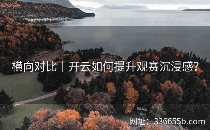 横向对比｜开云如何提升观赛沉浸感？